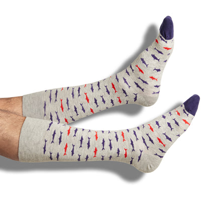 Heather grey dress socks with sharks in red and navy blue shown on legs