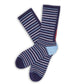 Navy athletic casual  Ole Miss licensed socks with stripes in red and powder blue with Hotty Toddy going down the back of the leg laid flat.
