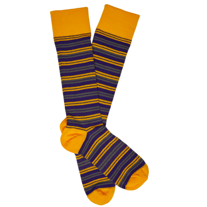 Purple and Gold - Double Stripe