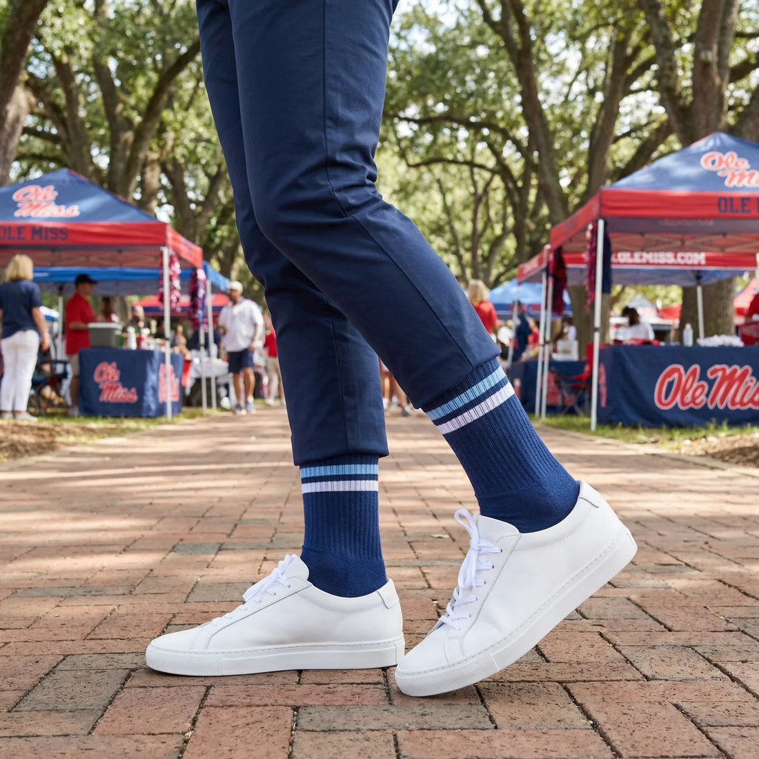 Navy White Retro Stripe