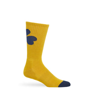 Gold casual socks with a navy clover on the back of the leg and a navy toe